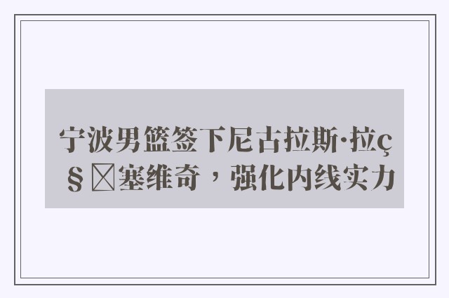 宁波男篮签下尼古拉斯·拉科塞维奇，强化内线实力