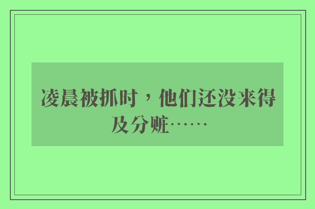 凌晨被抓时，他们还没来得及分赃……