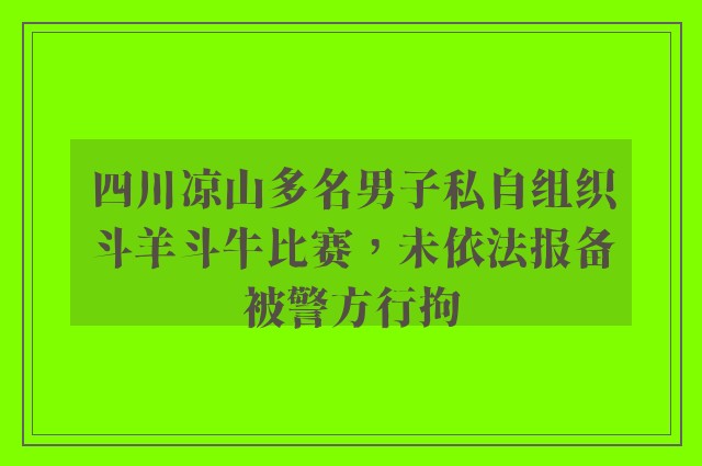 四川凉山多名男子私自组织斗羊斗牛比赛，未依法报备被警方行拘