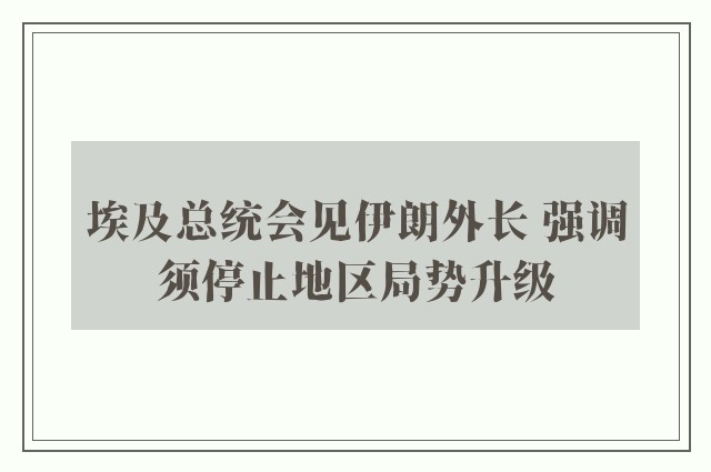 埃及总统会见伊朗外长 强调须停止地区局势升级