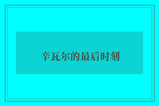 辛瓦尔的最后时刻