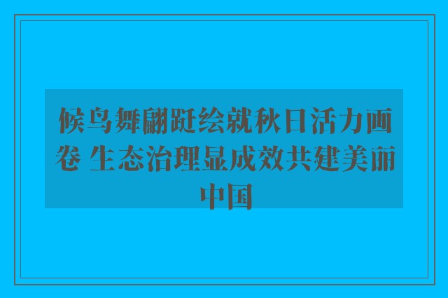 候鸟舞翩跹绘就秋日活力画卷 生态治理显成效共建美丽中国