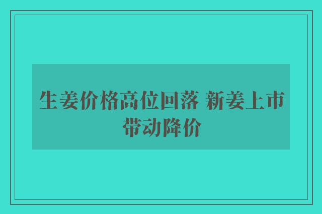 生姜价格高位回落 新姜上市带动降价