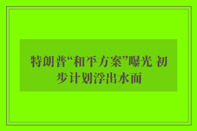 特朗普“和平方案”曝光 初步计划浮出水面