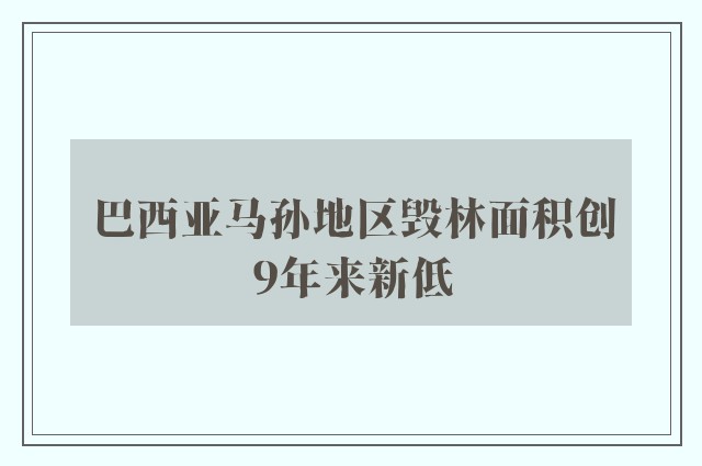 巴西亚马孙地区毁林面积创9年来新低