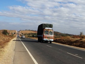 惊吓的司机被迫在莫纳什高速公路上停车，因为老虎蛇爬上了腿