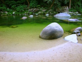 上水塱原自然生态公园 即日起开放予公众参观