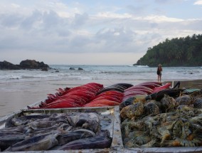 河北特色水产养殖助增收